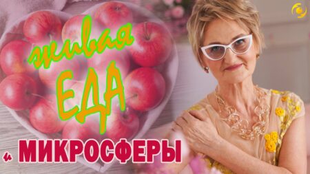 Бактерии