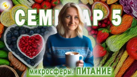 СЕМИНАР 5. Микросферы и ПИТАНИЕ