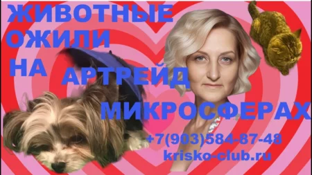 Встреча 105. Вебинар компании SBM о микросферах АРТРЕЙД (27.06.2024)