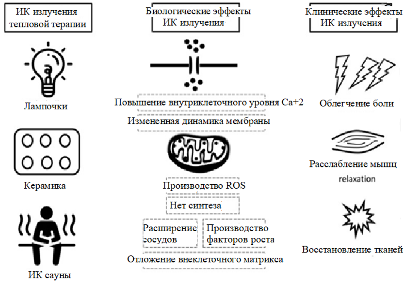 Семинар Боль Мышцы (4 статьи, переводы) 2 • Светлодар – изделия с микросферами от Светланы Крисько Семинар Боль Мышцы (4 статьи, переводы) 1 • Светлодар – изделия с микросферами от Светланы Крисько